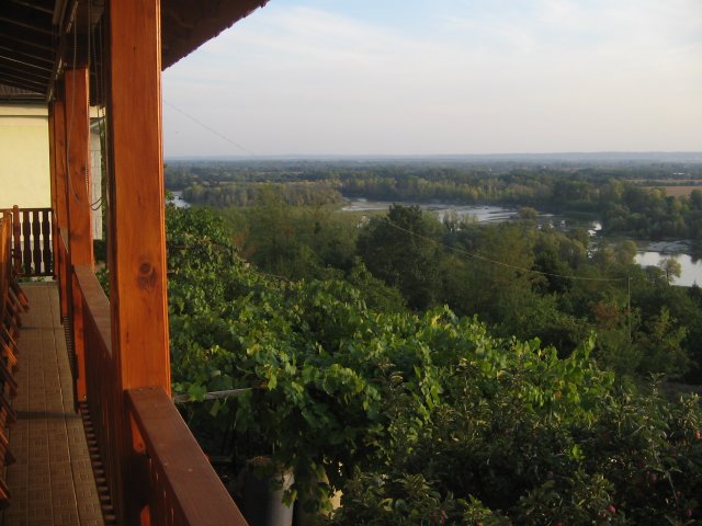 finnek 2011 029